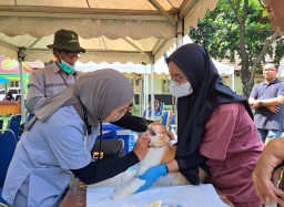 Petugas DKPP dan BSIP tengah berikan Vaksin Rabies terhadap hewan peliharaan. (Jabar Memanggil/ IST)