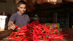 Pedagang cabai di Pasar Impres Kabupaten Sumedang