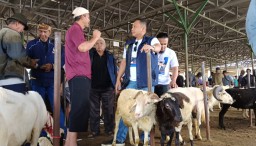 Blusukan Tim Pemenangan Anies-Muhaimin di Pasar Hewan Tanjungsari, Sumedang