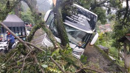 Menghindari tabrakkan dengan truk fuso, Bus CBU terpaksa menabrakkan kendaraan ke pohon (jabar memanggil/husni nursyaf) 