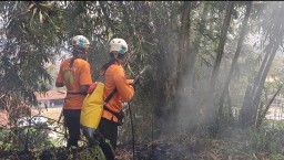 1 Hektar Lereng Gunung Kerud Terbakar