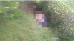 penemuan sesosok mayat perempuan di sekitar perkebunan teh. Minggu (26/1/2025). 
