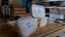 Nurholis Menciptakan Tahu Omega Kaya Akan Nutrisi