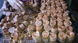 Pembuatan Gula Aren, Kampung Batugara, Desa Cikondang, Kecamatan Ganeas, Kabupaten Sumedang.  Rabu (12/3/2025).