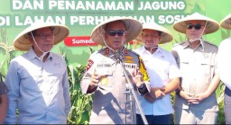 Bupati Sumedang: Ketahanan Pangan Akan Terwujud Salah Satunya Ketersediaan Jagung