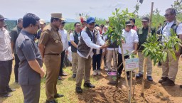 Wamenhut Mengajak Berkolaborasi Untuk Merehabilitasi 12 Juta Lahan Seluruh Indonesia