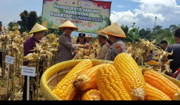 Polres Sumedang Panen Raya Jagung Hibrida Kuartal IV Seluas 15 Hektar