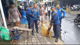 Warga Kebon Kol Panik Gara-Gara Monyet Jantan Besar Masuk Rumah, Damkar Sumedang Berhasil Evakuasi