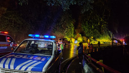 Pohon Aren Tumbang Akibat Hujan Deras Timpa Pengendara Motor di Cadas Pangeran