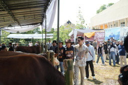 Gebyar Ternak Padjadjaran 2026 Resmi Dibuka, Wakil Bupati Sumedang Dorong Peternak Jadi Pemain Global
