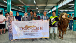 PT. Kordon Putra Sinergi Salurkan 6.215 Bungkus Daging Kurban dan Berangkatkan 9 Karyawan Umroh