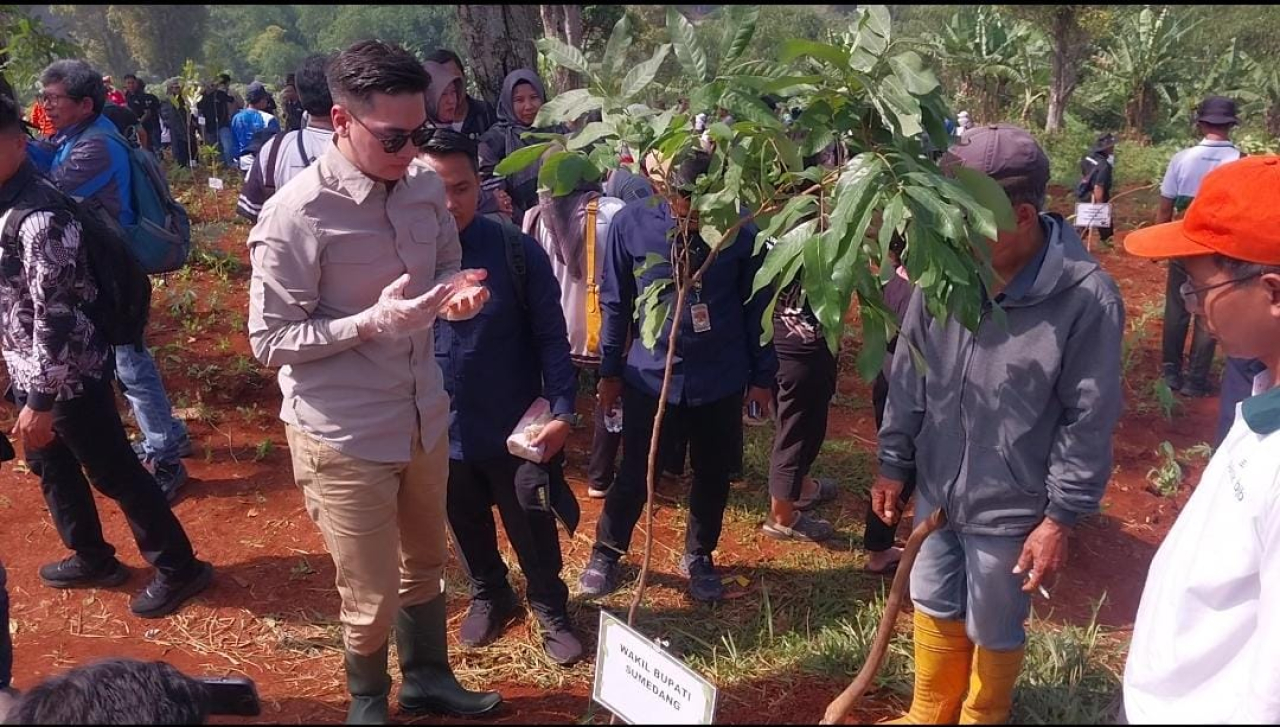 Planting Sumedang Future, Bekas Galian Tambang Ditanam 30 Ribu Pohon