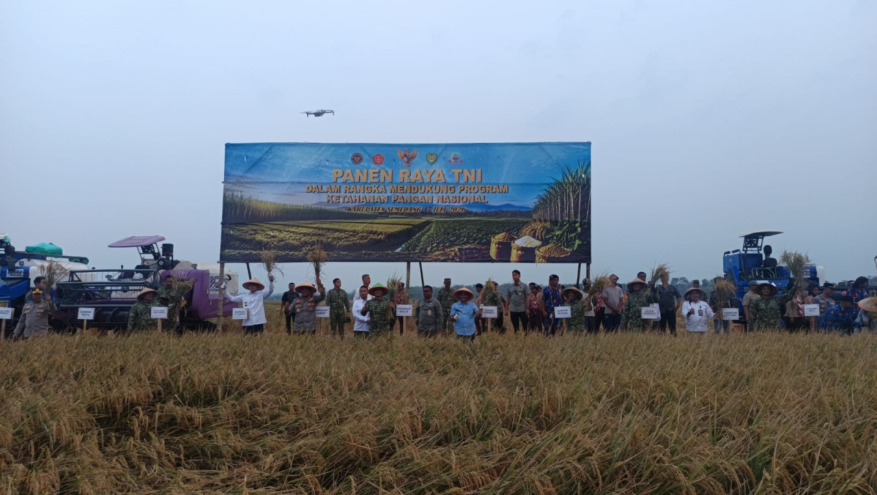Kodam III Siliwangi Gelar Panen Raya Serentak Dukung Ketahanan Pangan Nasional di Sumedang